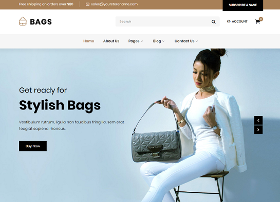 eCommerce WordPress theme