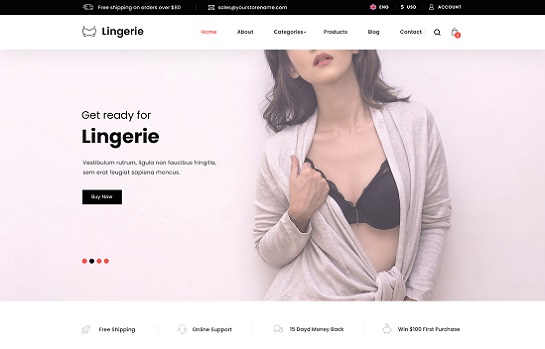 8 of the Best Lingerie WooCommerce Themes for Selling Bras & Underwear