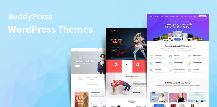 BuddyPress WordPress themes