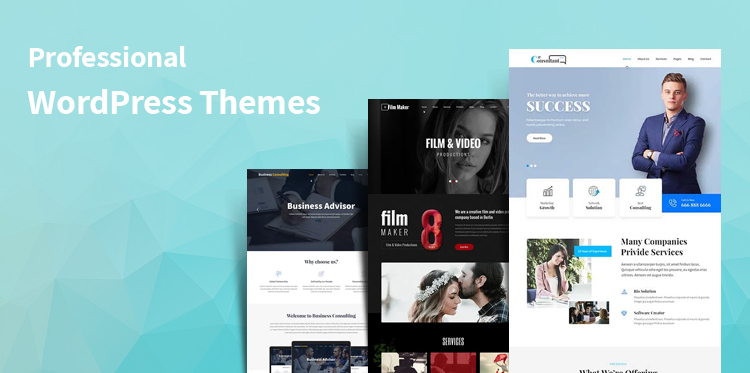 professional WordPress themes