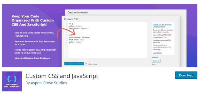 Custom CSS and JavaScrippt