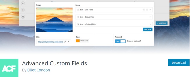 Advanced Custom Fields