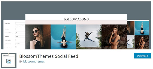 BlossomThemes Social Feed