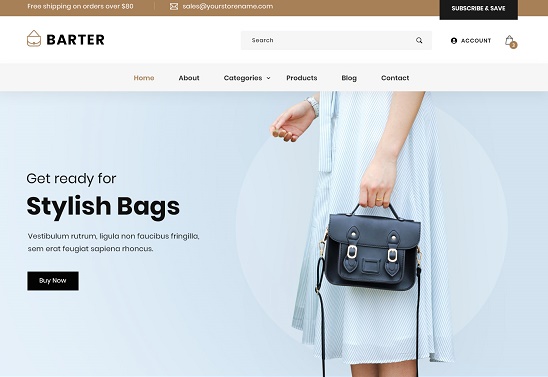 Free Shopping eCommerce WordPress Theme