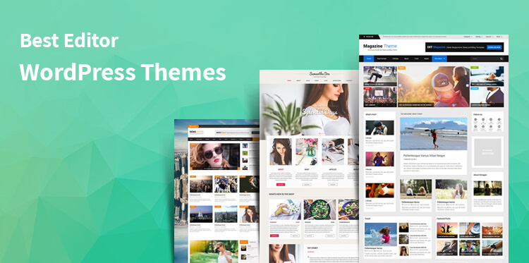 Editor WordPress themes