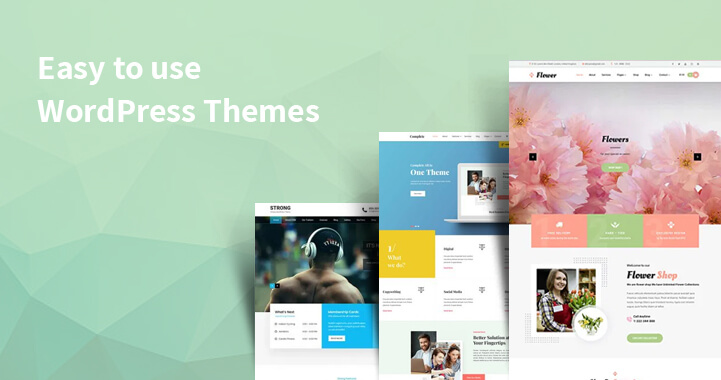 Easy to Use WordPress Themes