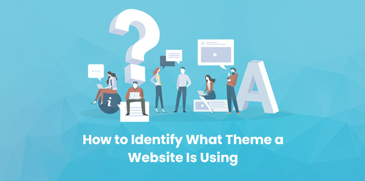 Theme a Website Is Using