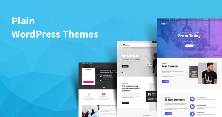 12 Plain WordPress Themes You Should Try for Beginners