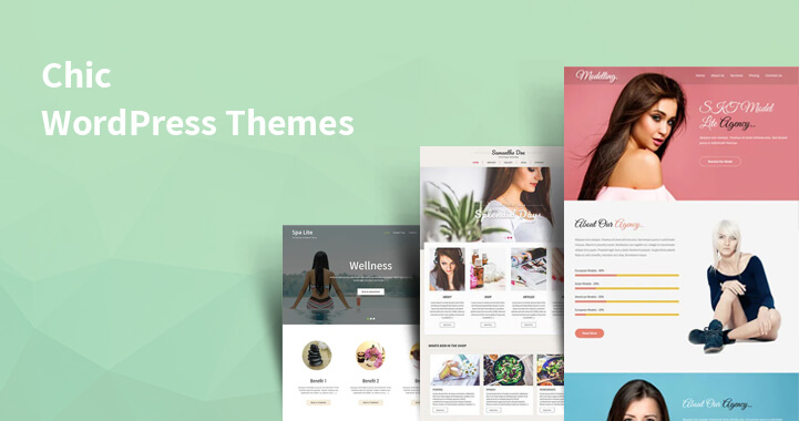 Chic WordPress Theme 