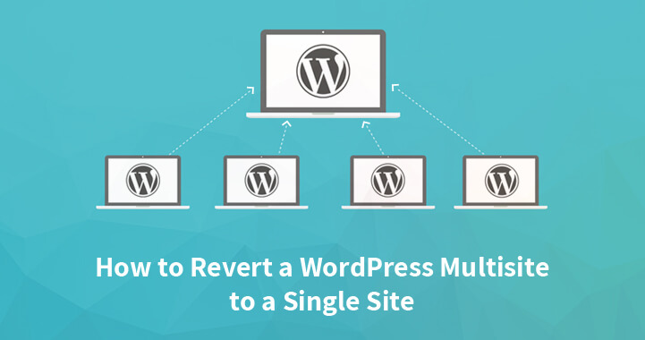 WordPress multisite to a single site