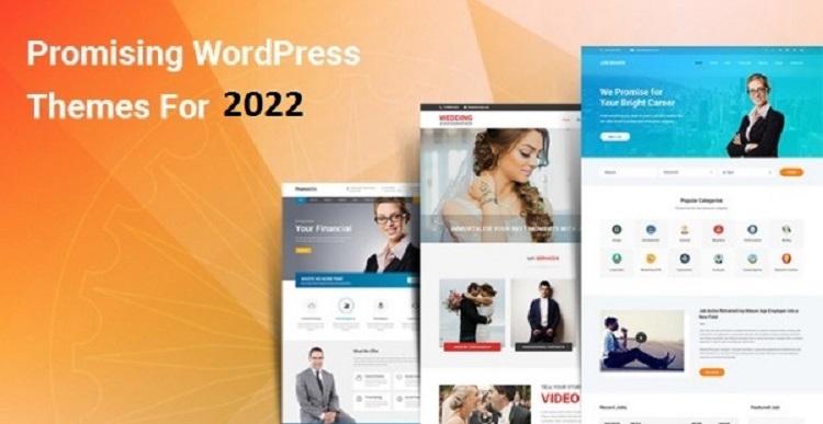 10 Promising WordPress Themes for Building Great Elegant Websites