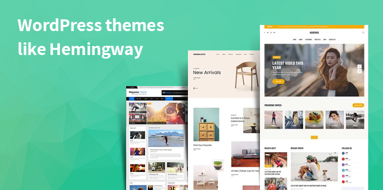 11 WordPress Themes like Hemingway on Your Site To Enhance Your Online Presence