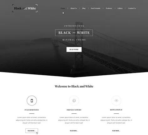Elegant Black and White WordPress Theme for Minimalist Websites