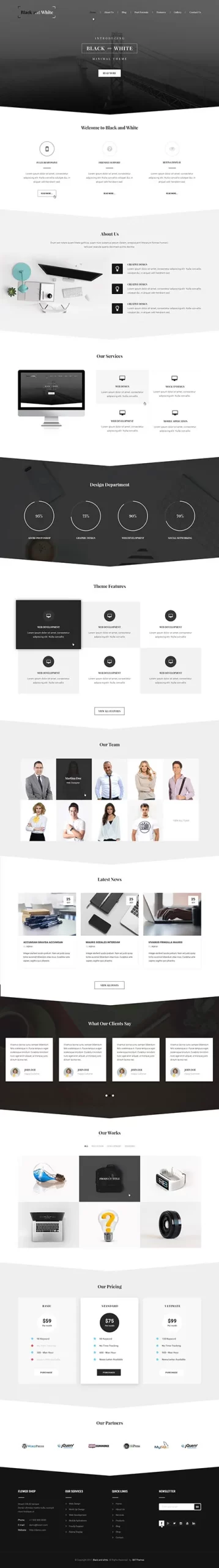 black and white WordPress theme