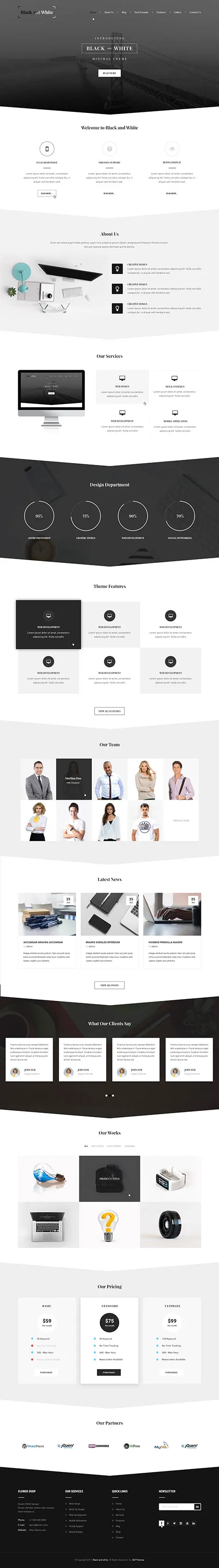 Black and White - black and white WordPress theme