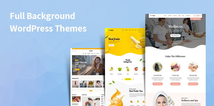 20 Best Full Background WordPress Themes for Fullscreen Photography