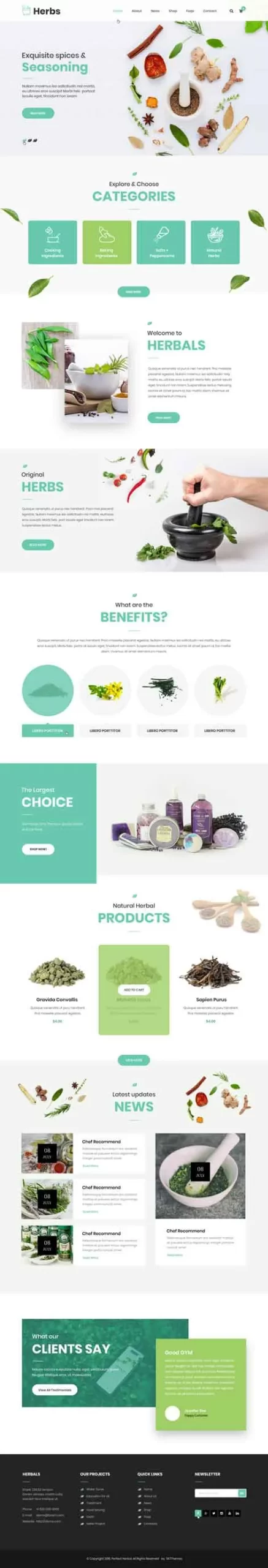 ayurveda WordPress theme