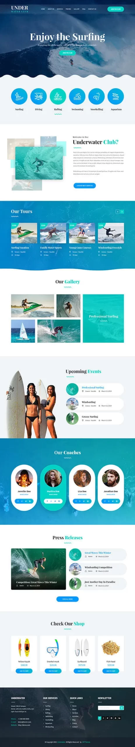 blue WordPress theme