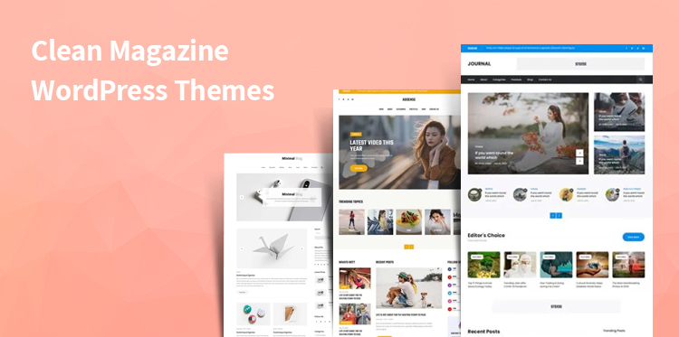 10+ Clean Magazine WordPress Themes for News and Blogs