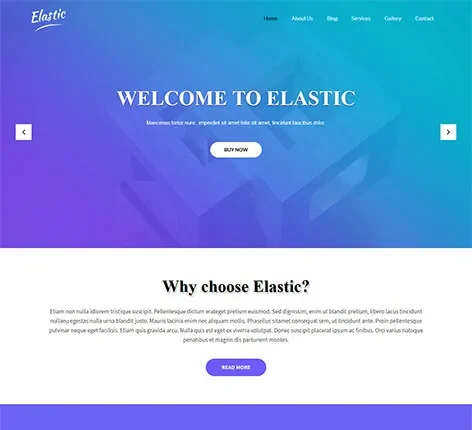 SKT Elastic - Free Flexible WordPress theme | Classy WordPress Theme