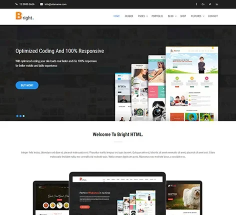 Bright - Multipurpose HTML Template
