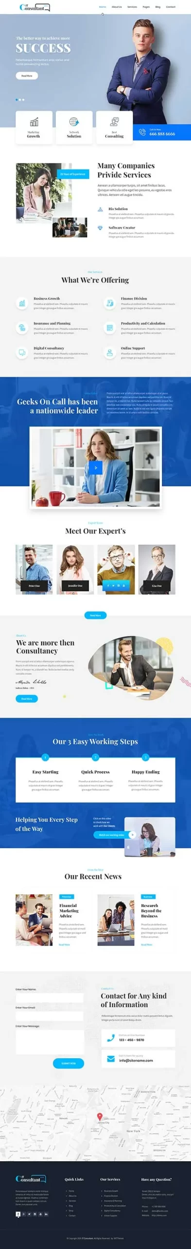 consultant WordPress theme