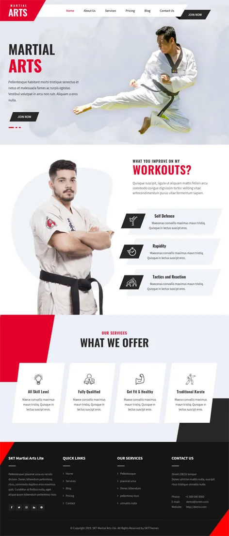 free martial arts WordPress theme