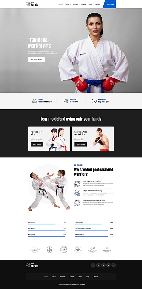 free taekwondo WordPress theme