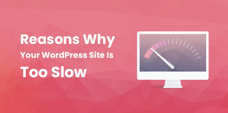 Reasons Why Your WordPress Site Is Too Slow