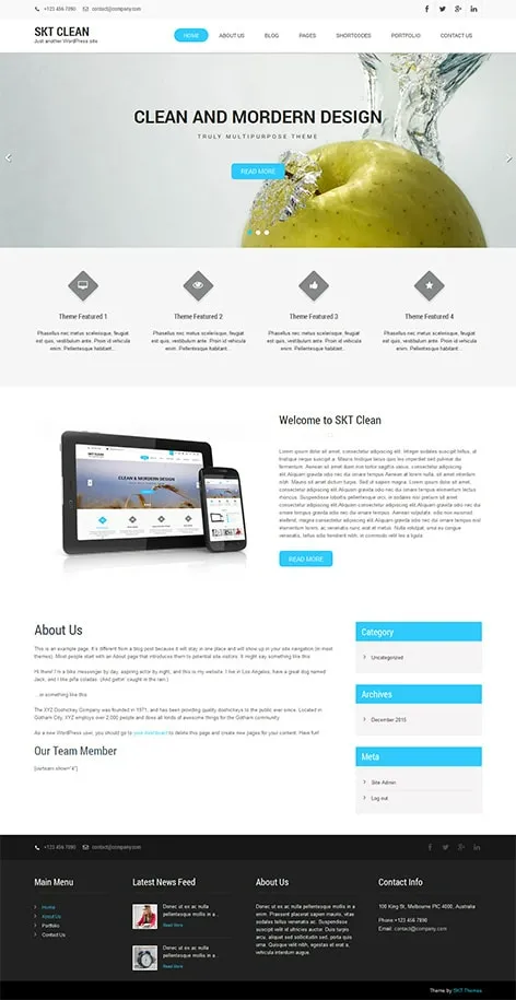 free clean WordPress theme