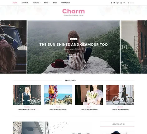 Charm - WordPress blog theme/Press WordPress Theme