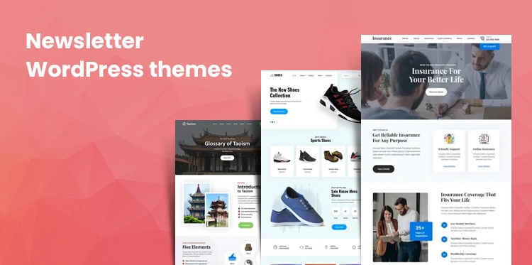 What Are the Best 14 Newsletter WordPress Themes?