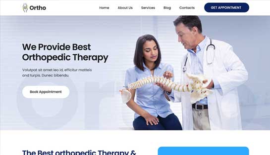 orthopaedic WordPress theme 