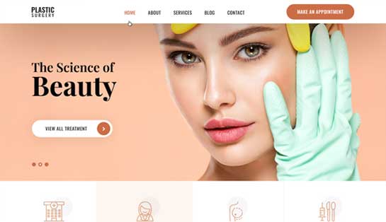 plastic surgery WordPress themes