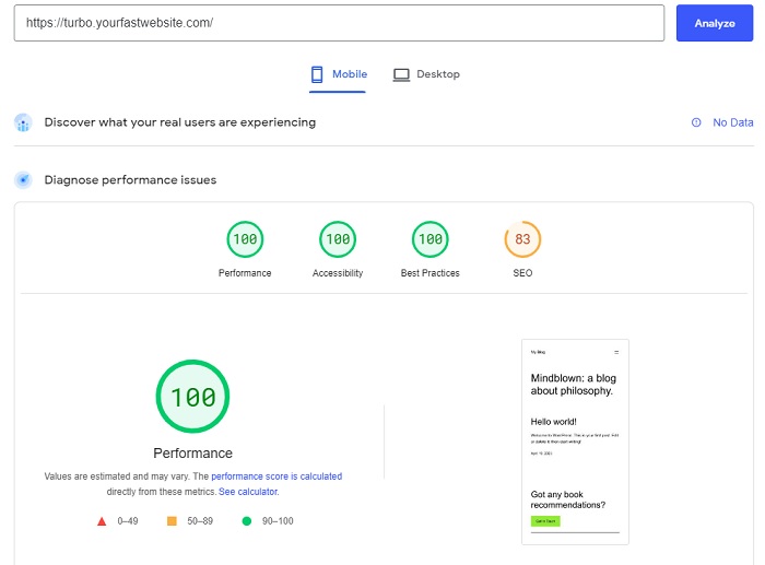 Google PageSpeed Insights