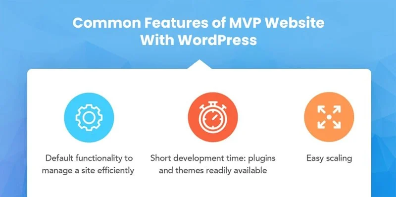 Common Features of MVP Website With WordPress