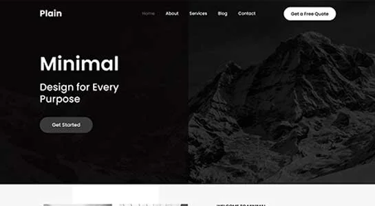 SKT Plain Lite - Plain WordPress Theme Free
