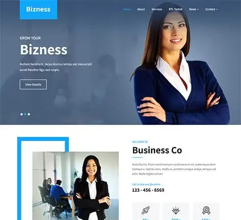 Service Provider WordPress Theme for local businesses and professionals