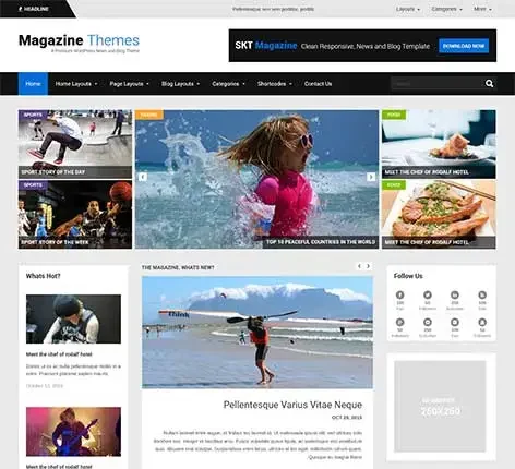 2 or 3 Columns WordPress Theme