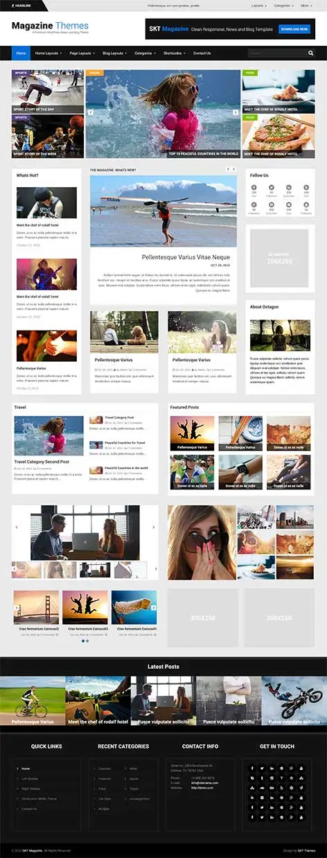 2 or 3 Columns WordPress Theme