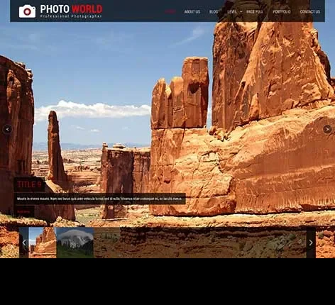 Accessibility Ready WordPress Theme for Inclusive Websites