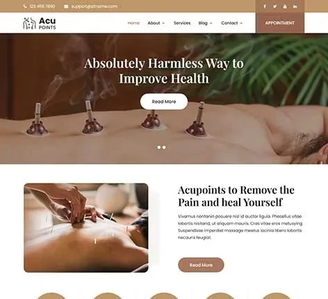 Acupuncture WordPress Theme for Alternative Health Clinics