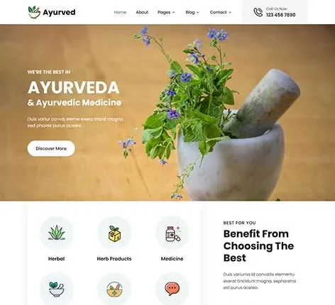 Aesthetic WordPress Theme for Modern Designers