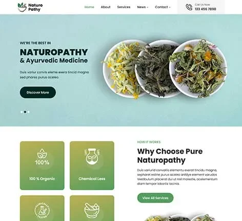 Alternative Medicine WordPress Theme for Holistic and Natural Health Centers