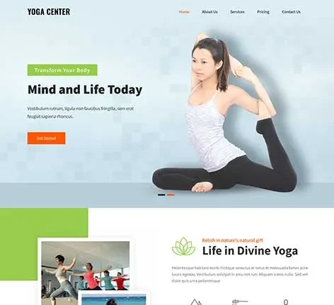 Asana WordPress Theme by SKT Themes