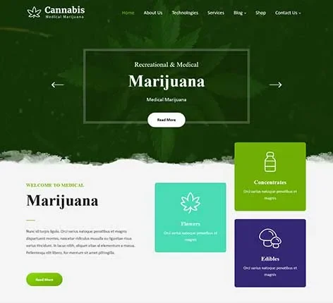 Chinese Medicine WordPress Theme for acupuncture and herbal therapy clinics