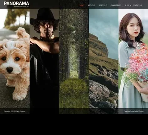 Chroma WordPress theme for creatives by SKT Themes