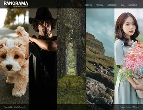 Chroma WordPress theme for creatives by SKT Themes