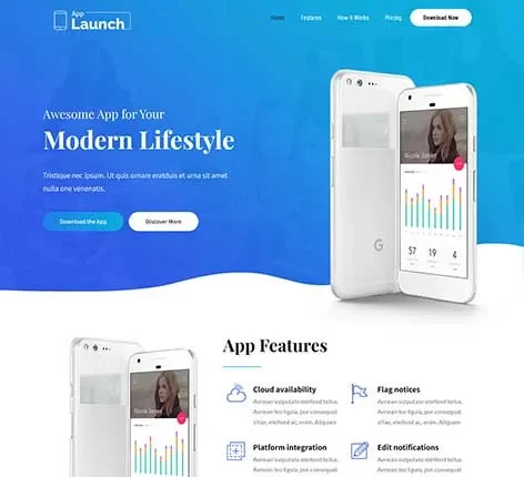 Developer WordPress Theme for Coders, Software Engineers, and Tech Portfolios