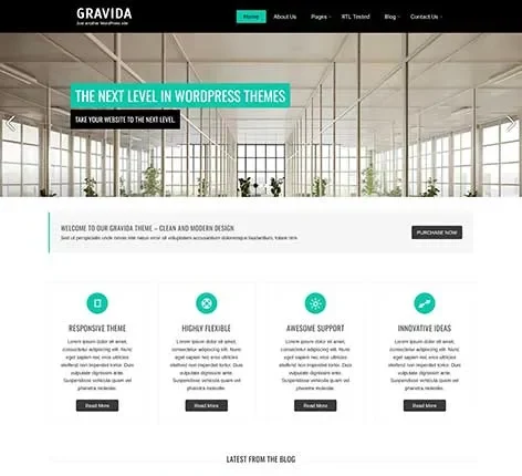 Flexible Scalable WordPress Theme from SKT Themes